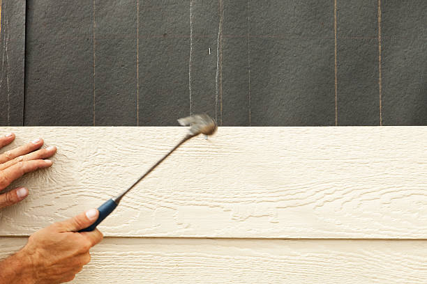 Best Siding for New Construction  in Third Lake, IL